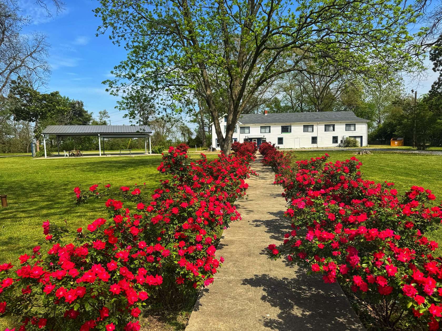 3.33 Acres of Improved Land for Sale in Dundee, Mississippi