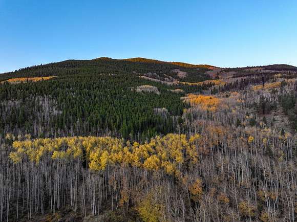 362 Acres of Recreational Land & Farm for Sale in Granite, Colorado