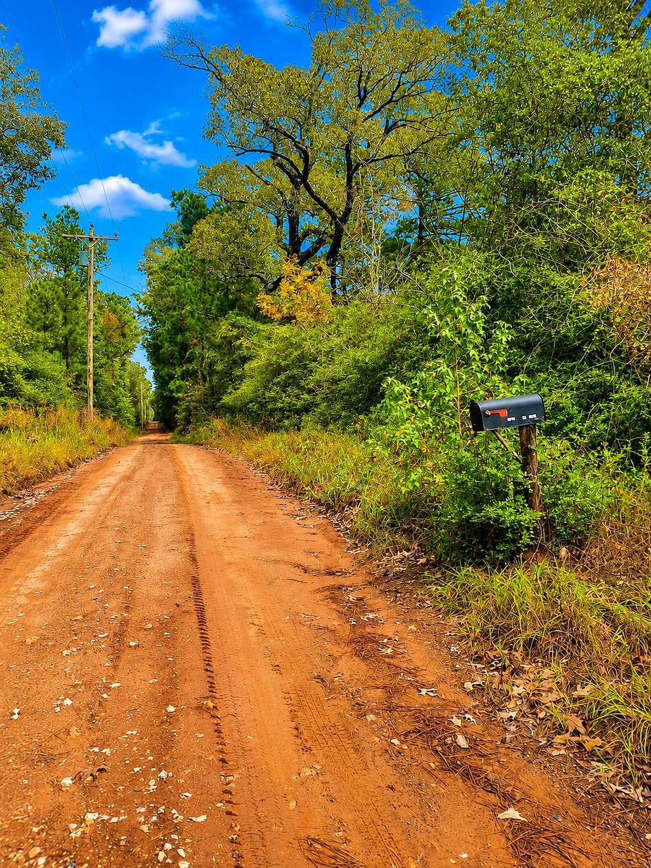 17.3 Acres of Land for Sale in Crockett, Texas