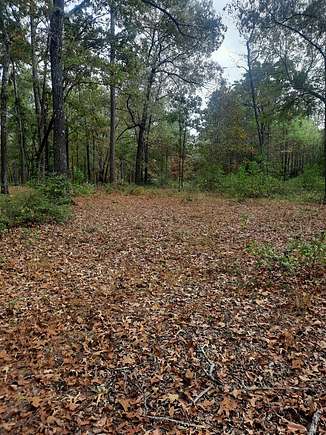 17.33 Acres of Land for Sale in Crockett, Texas