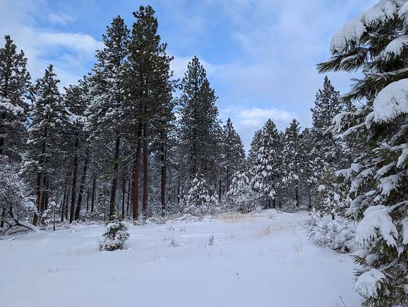 160 Acres of Recreational Land & Farm for Sale in Burns, Oregon