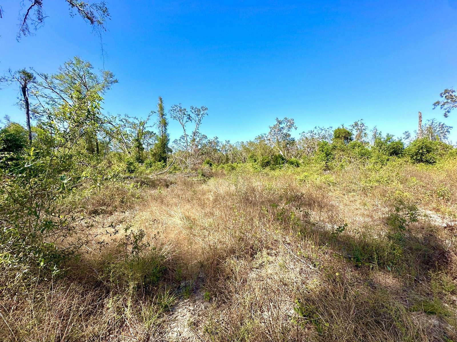 20 Acres of Agricultural Land for Sale in Mayo, Florida