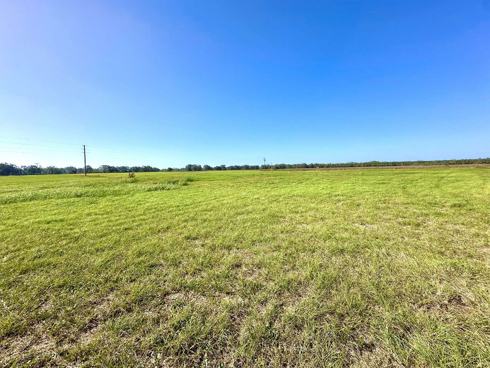 19 Acres of Land for Sale in Mayo, Florida