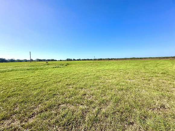 19 Acres of Land for Sale in Mayo, Florida