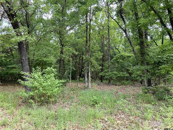 3.02 Acres of Residential Land for Sale in Lindale, Texas