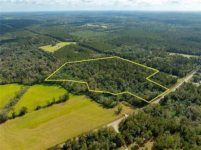 29.377 Acres of Recreational Land for Sale in Amite, Louisiana