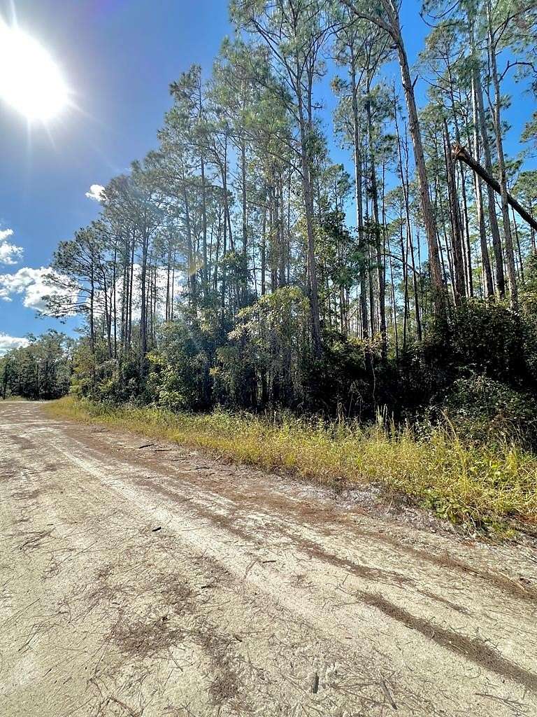 10 Acres of Land for Sale in Old Town, Florida