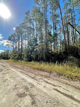 10 Acres of Land for Sale in Old Town, Florida