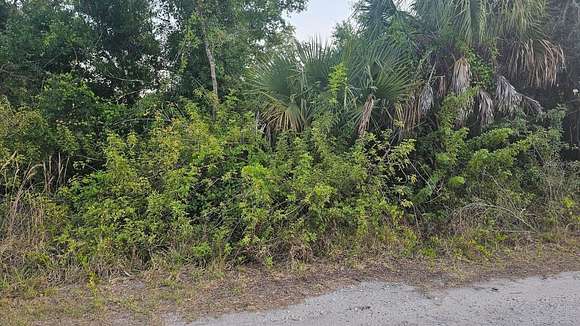 0.27 Acres of Residential Land for Sale in Punta Gorda, Florida