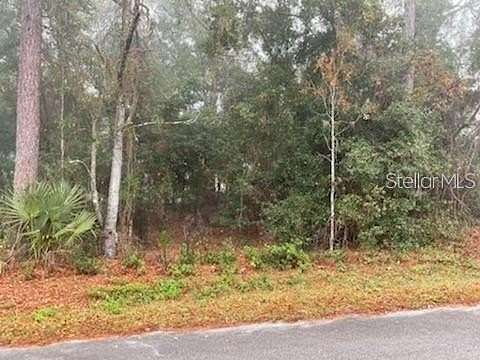 0.25 Acres of Residential Land for Sale in Belleview, Florida