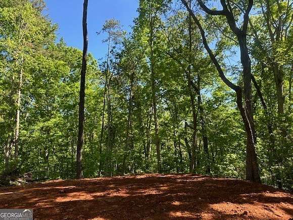 0.3 Acres of Residential Land for Sale in Toccoa, Georgia