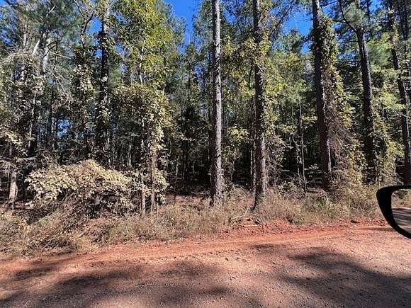 13.3 Acres of Recreational Land for Sale in Waynesboro, Mississippi