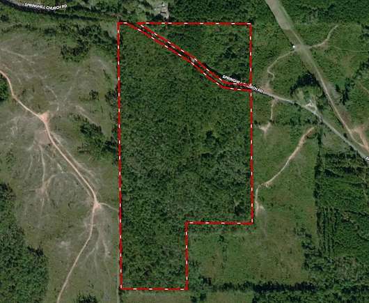 70 Acres of Recreational Land for Sale in Waynesboro, Mississippi