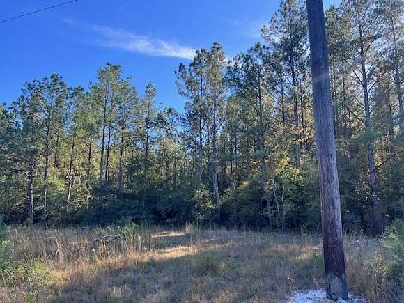 60 Acres of Recreational Land for Sale in Waynesboro, Mississippi