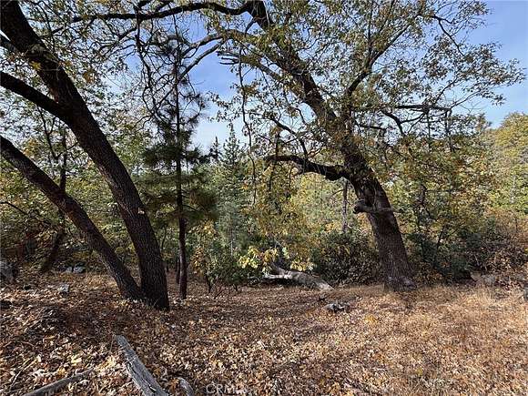 0.236 Acres of Residential Land for Sale in Lake Arrowhead, California