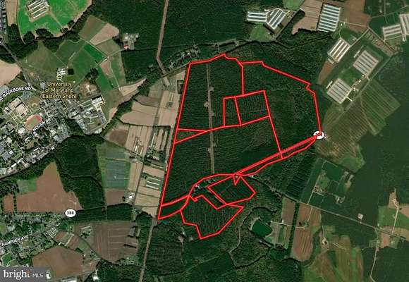 437.75 Acres of Land for Sale in Princess Anne, Maryland