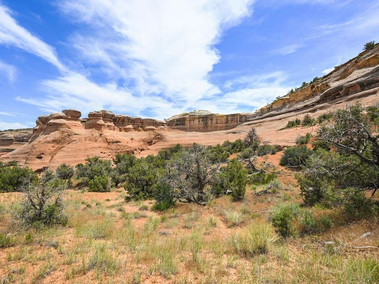 35.04 Acres of Land for Sale in Fruita, Colorado