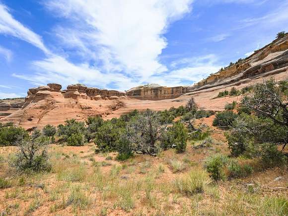 35.04 Acres of Land for Sale in Fruita, Colorado