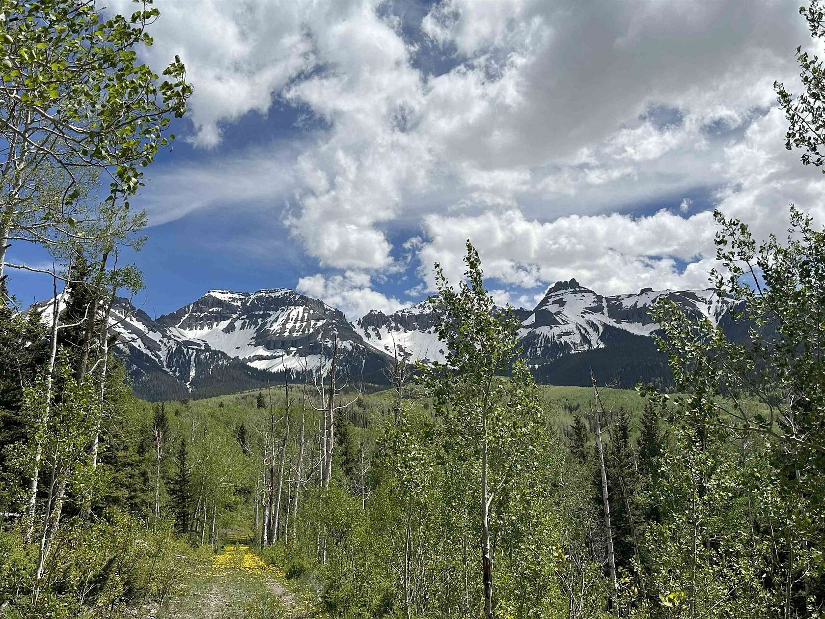 35 Acres of Recreational Land for Sale in Ridgway, Colorado