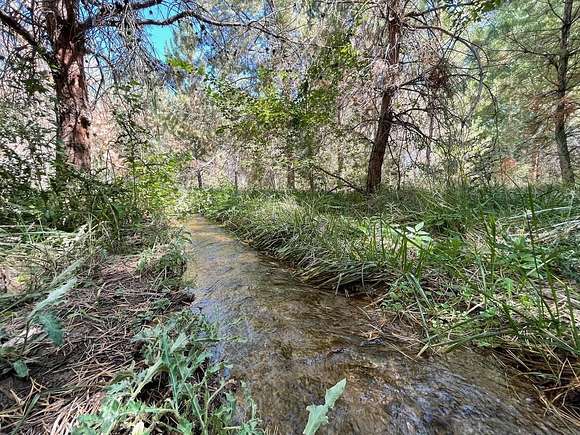 24.5 Acres of Recreational Land & Farm for Sale in Palisade, Colorado