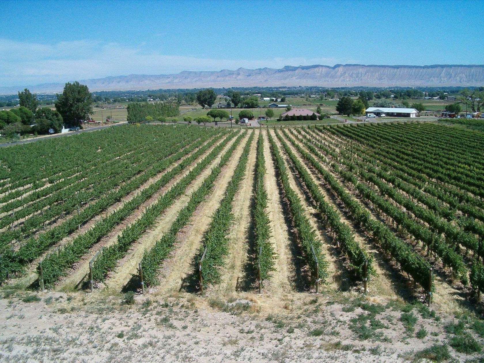 10 Acres of Land for Sale in Grand Junction, Colorado