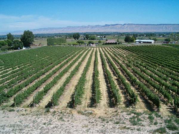 10 Acres of Land for Sale in Grand Junction, Colorado