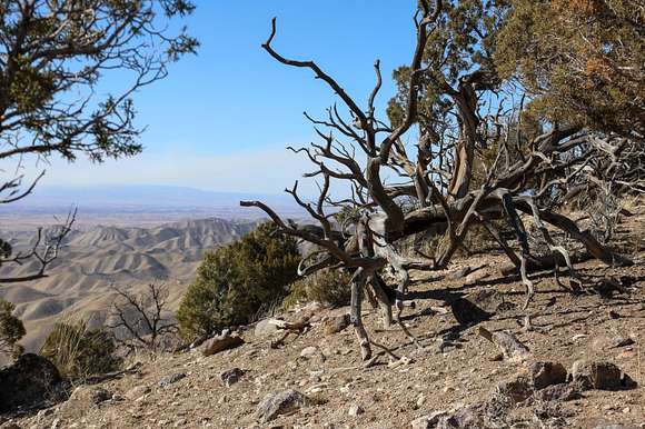 124.65 Acres of Land for Sale in Montrose, Colorado