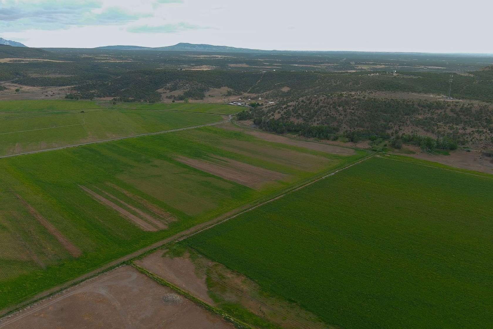 57.8 Acres of Agricultural Land for Sale in Colona, Colorado