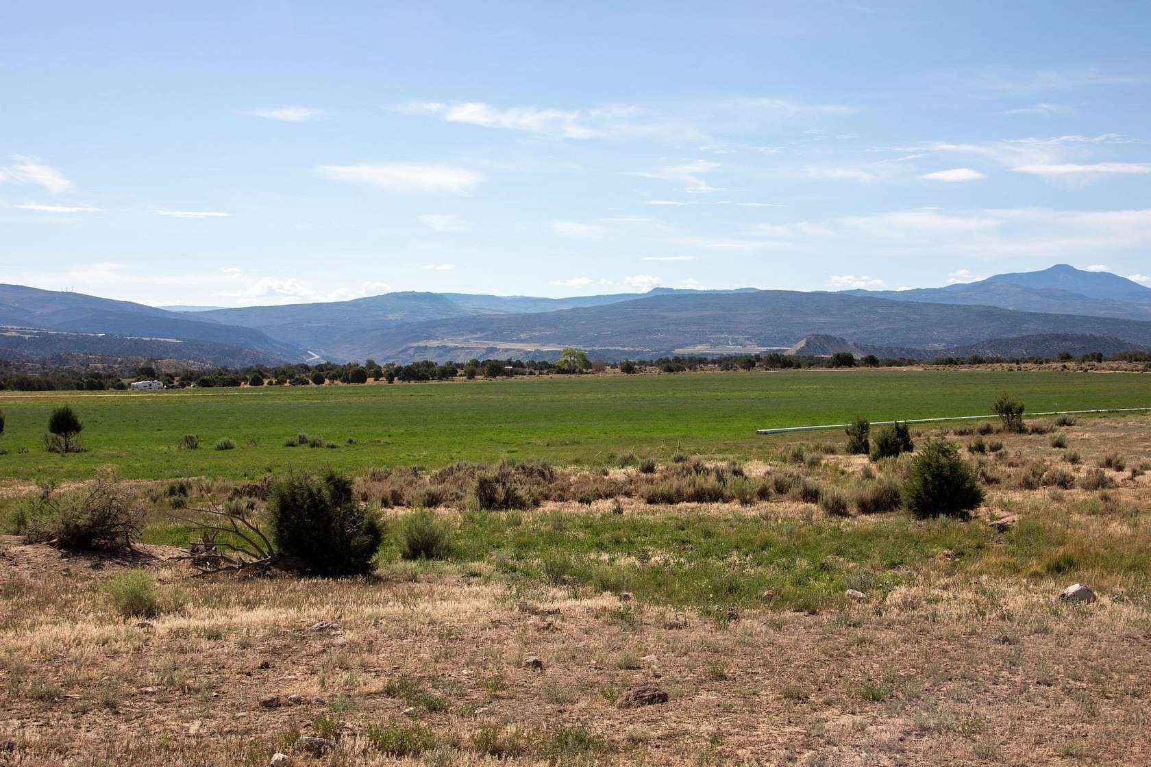 49 Acres of Land for Sale in Montrose, Colorado