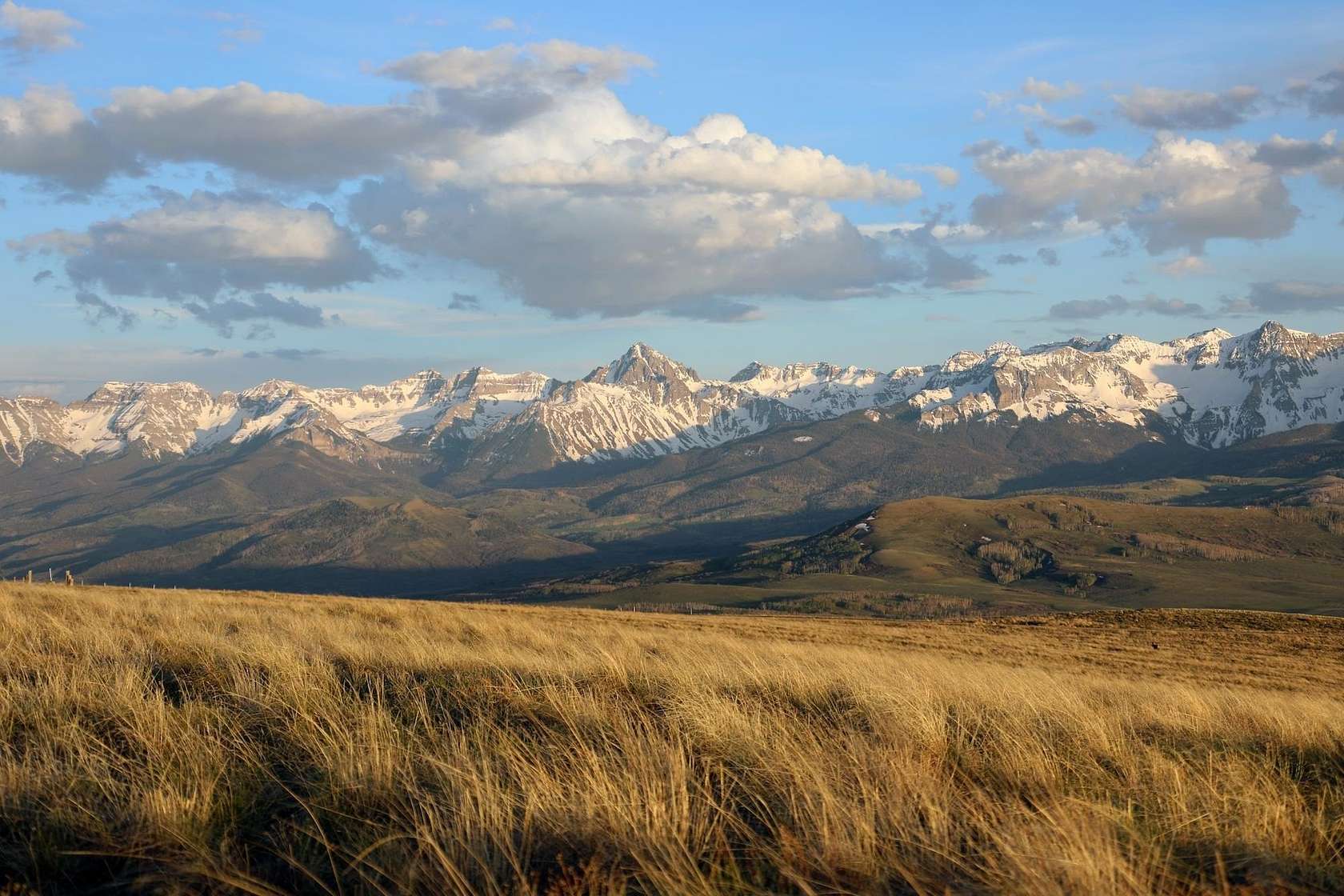 300.34 Acres of Recreational Land & Farm for Sale in Montrose, Colorado