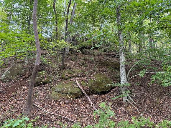 1,261 Acres of Recreational Land for Auction in Pocahontas, Tennessee