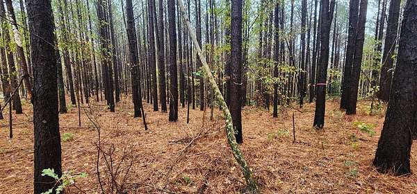 4.1 Acres of Residential Land for Sale in Camden, Tennessee