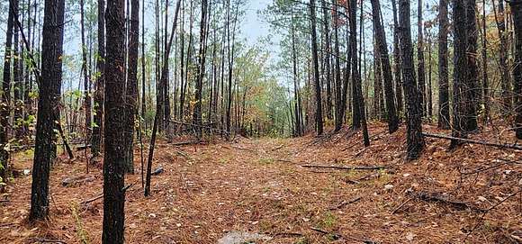 13.4 Acres of Recreational Land for Sale in Camden, Tennessee