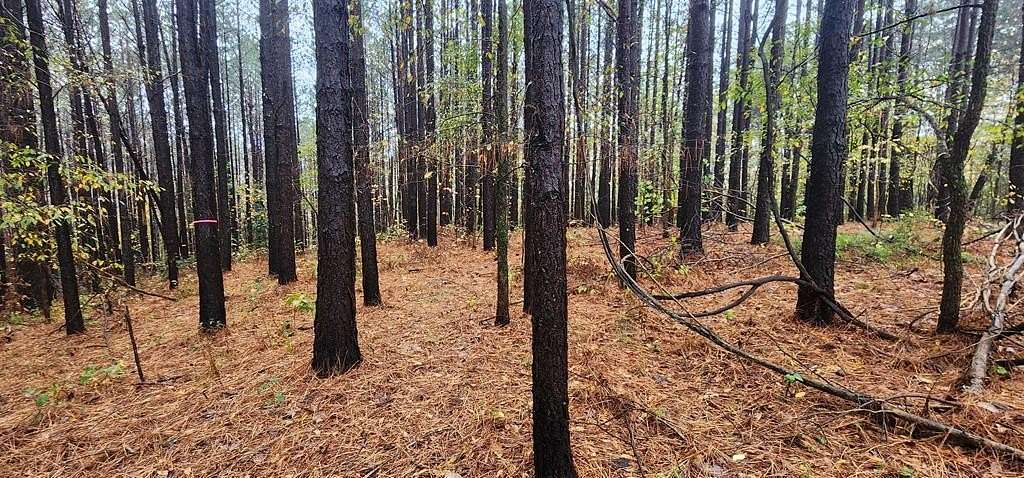 2.4 Acres of Residential Land for Sale in Camden, Tennessee