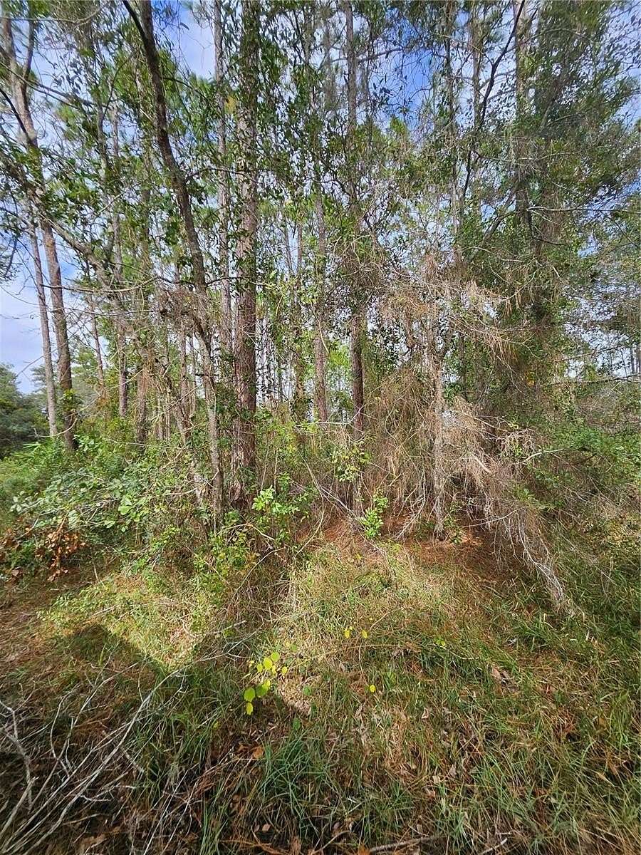 73 Acres of Land for Sale in Deltona, Florida