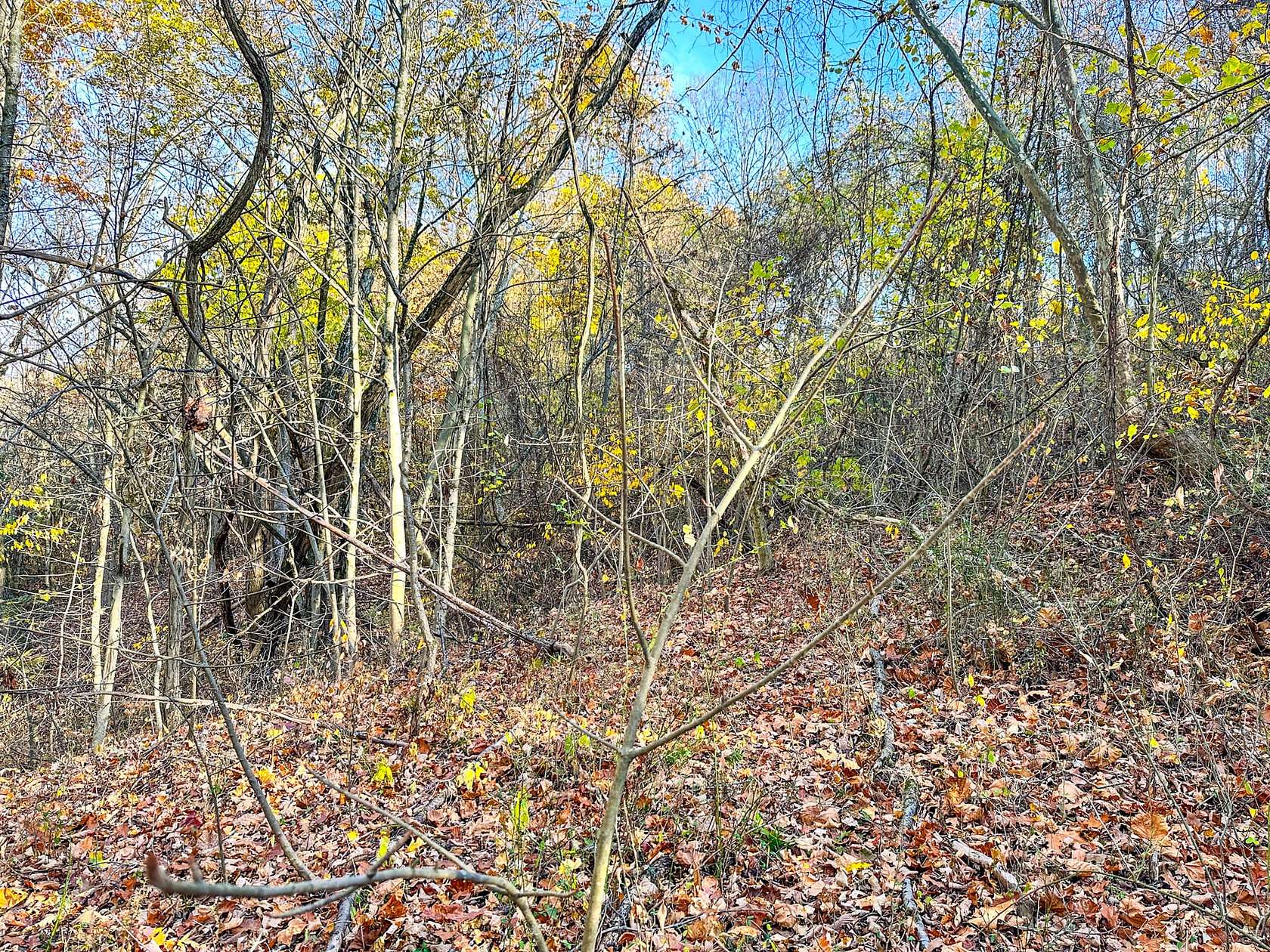 0.5 Acres of Residential Land for Sale in Marietta, Ohio