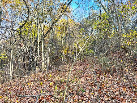 0.5 Acres of Residential Land for Sale in Marietta, Ohio