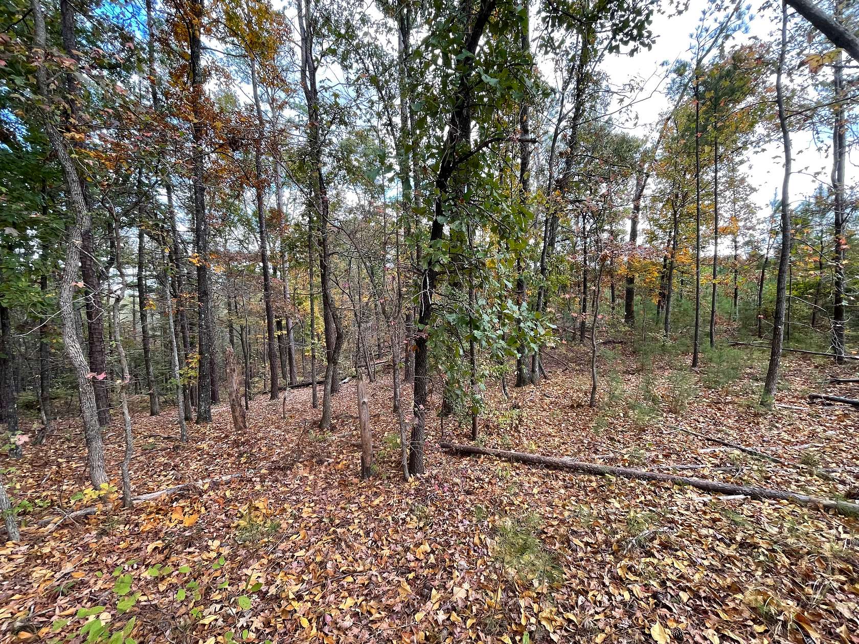 174 Acres of Recreational Land for Sale in Sylacauga, Alabama