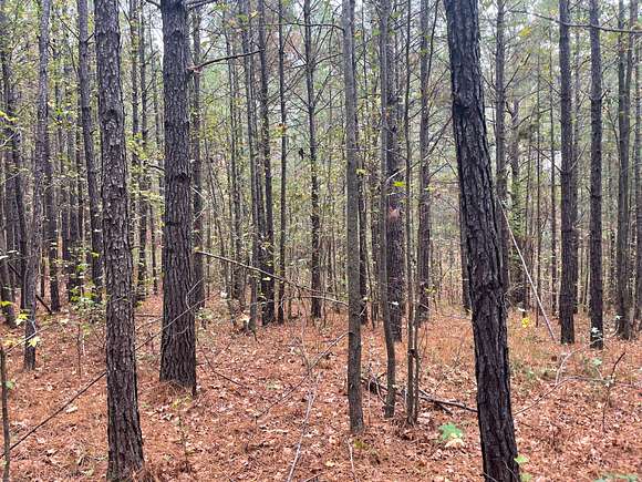 174 Acres of Recreational Land for Sale in Sylacauga, Alabama