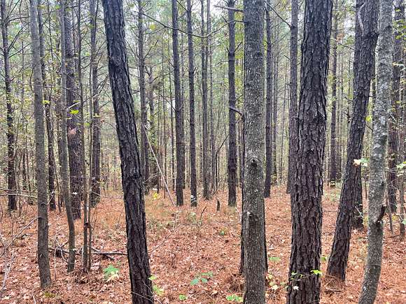 174 Acres of Recreational Land for Sale in Sylacauga, Alabama