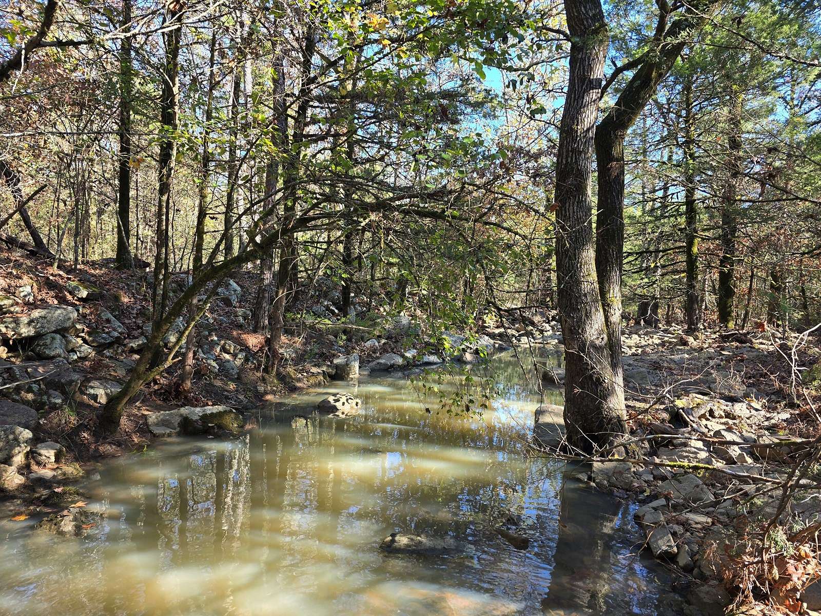 122 Acres of Land for Sale in Bates, Arkansas