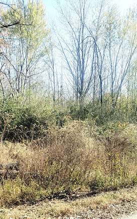 17 Acres of Recreational Land for Sale in Doniphan, Missouri