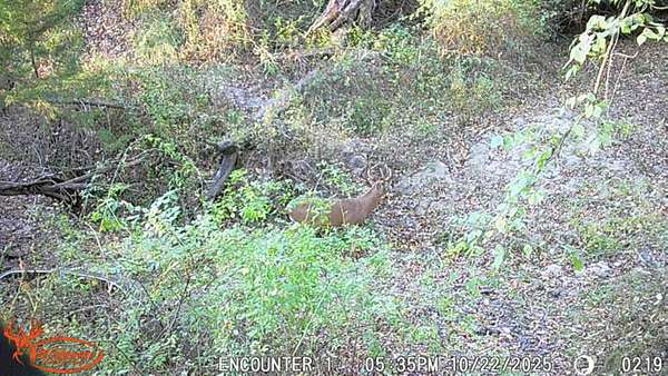 80 Acres of Recreational Land & Farm for Sale in Blockton, Iowa