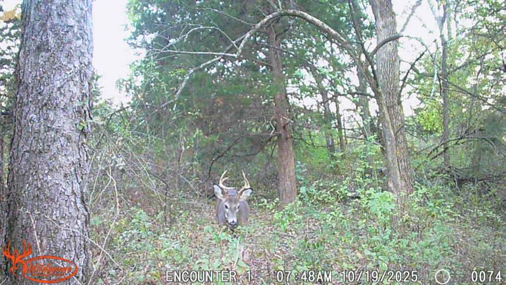 160 Acres of Recreational Land & Farm for Sale in Blockton, Iowa