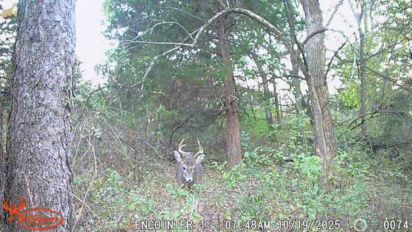 160 Acres of Recreational Land & Farm for Sale in Blockton, Iowa