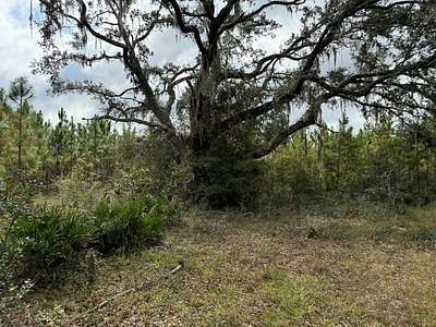 95.03 Acres of Recreational Land & Farm for Sale in Lake City, Florida