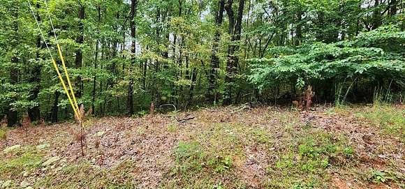 0.55 Acres of Residential Land for Sale in Ellijay, Georgia