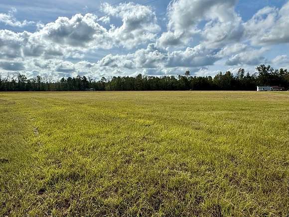 1 Acre of Residential Land for Sale in Willacoochee, Georgia