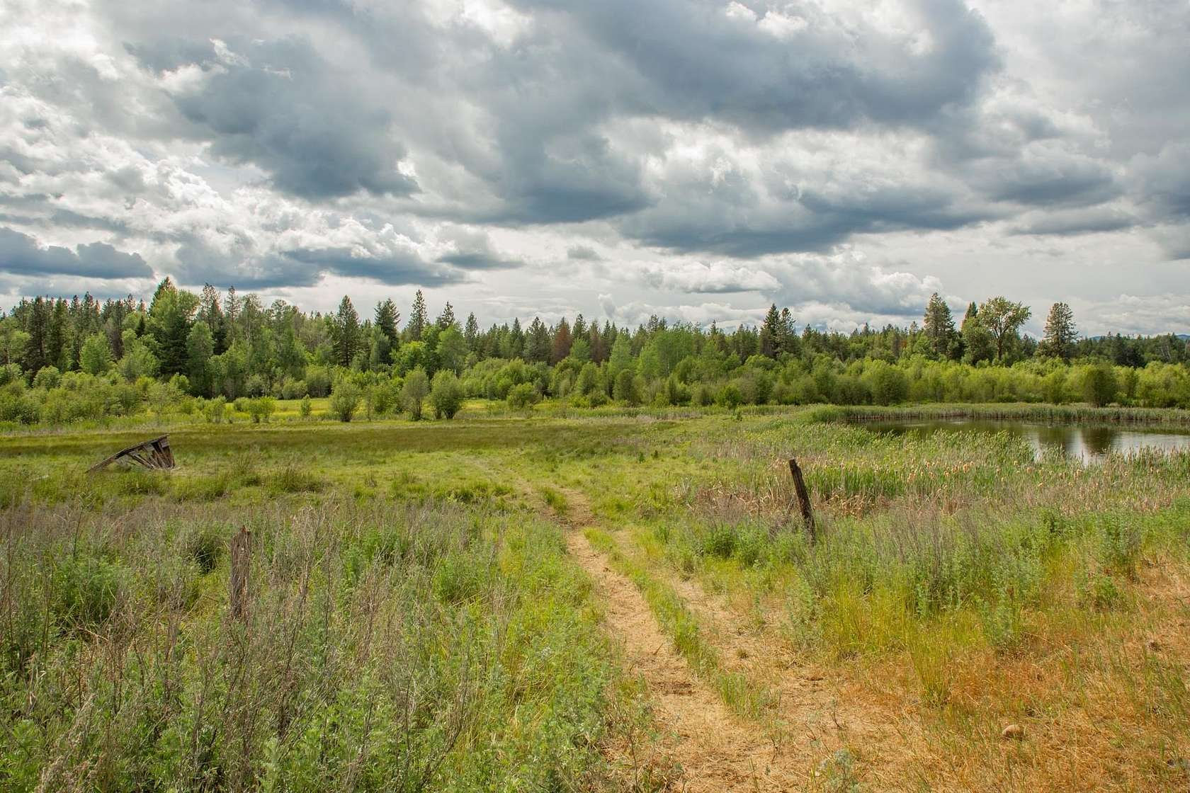 20 Acres of Land for Sale in Springdale, Washington