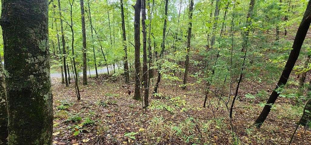 1.16 Acres of Residential Land for Sale in Ellijay, Georgia